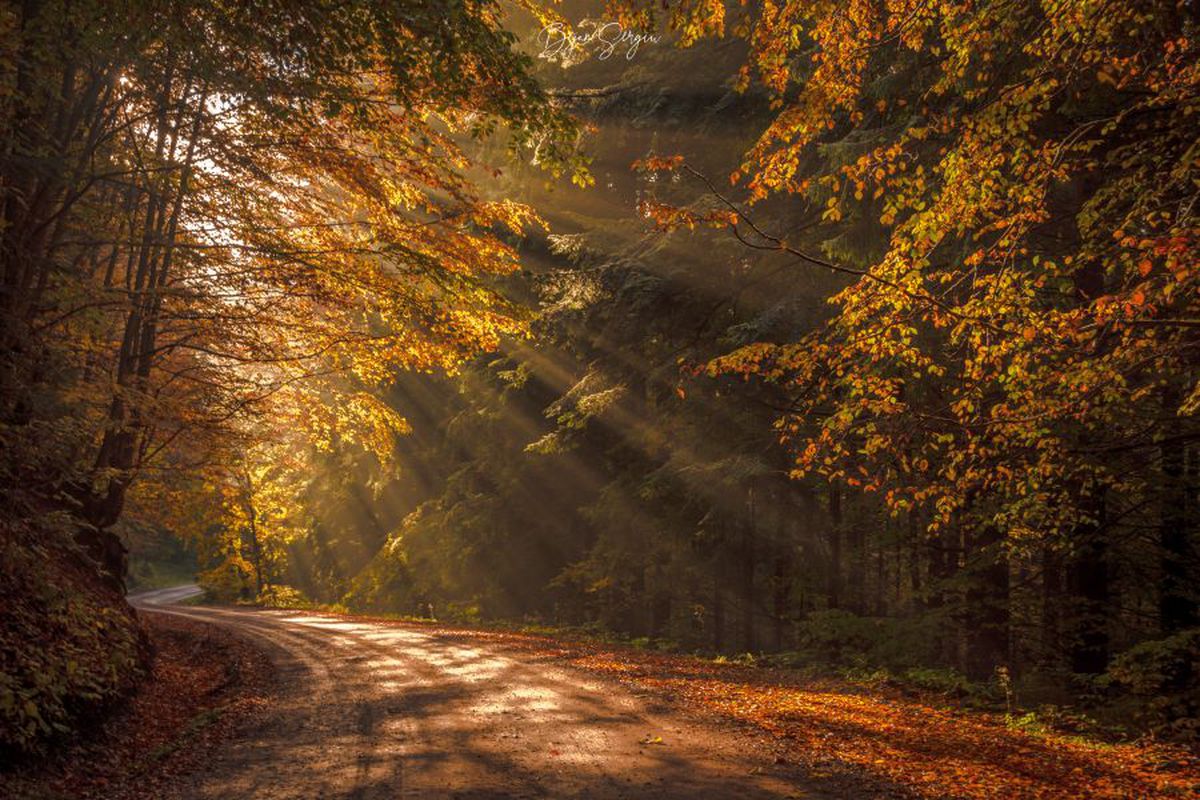 Fotograful Sergiu Bejan, canotorul de calibru cu o pasiune specială