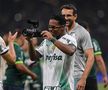 Palmeiras, campioană în Brazilia pentru al doilea an consecutiv