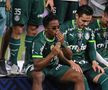 Palmeiras, campioană în Brazilia pentru al doilea an la rând! Senzația de 17 ani a Realului a înscris în meciul decisiv