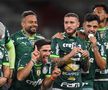 Palmeiras, campioană în Brazilia pentru al doilea an consecutiv