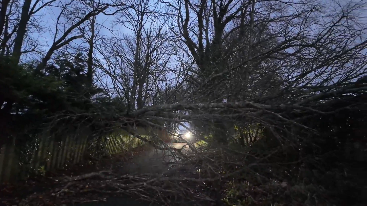 Stop joc! Everton - Liverpool nu se mai poate disputa astăzi