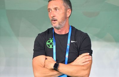 Mihai Stoica s-a răzgândit după 4 ore în „cazul Strizu” + De ce FRF nu a reacționat, în 2022, când Rapid a aplicat aceeași strategie cu antrenorul din acte: „Nu aveam această sarcină”