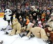 74.599 de jucării de pluș au fost aruncate la un meci de hochei al celor de la Hershey Bears