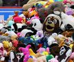 74.599 de jucării de pluș au fost aruncate la un meci de hochei al celor de la Hershey Bears
