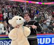 74.599 de jucării de pluș au fost aruncate la un meci de hochei al celor de la Hershey Bears
