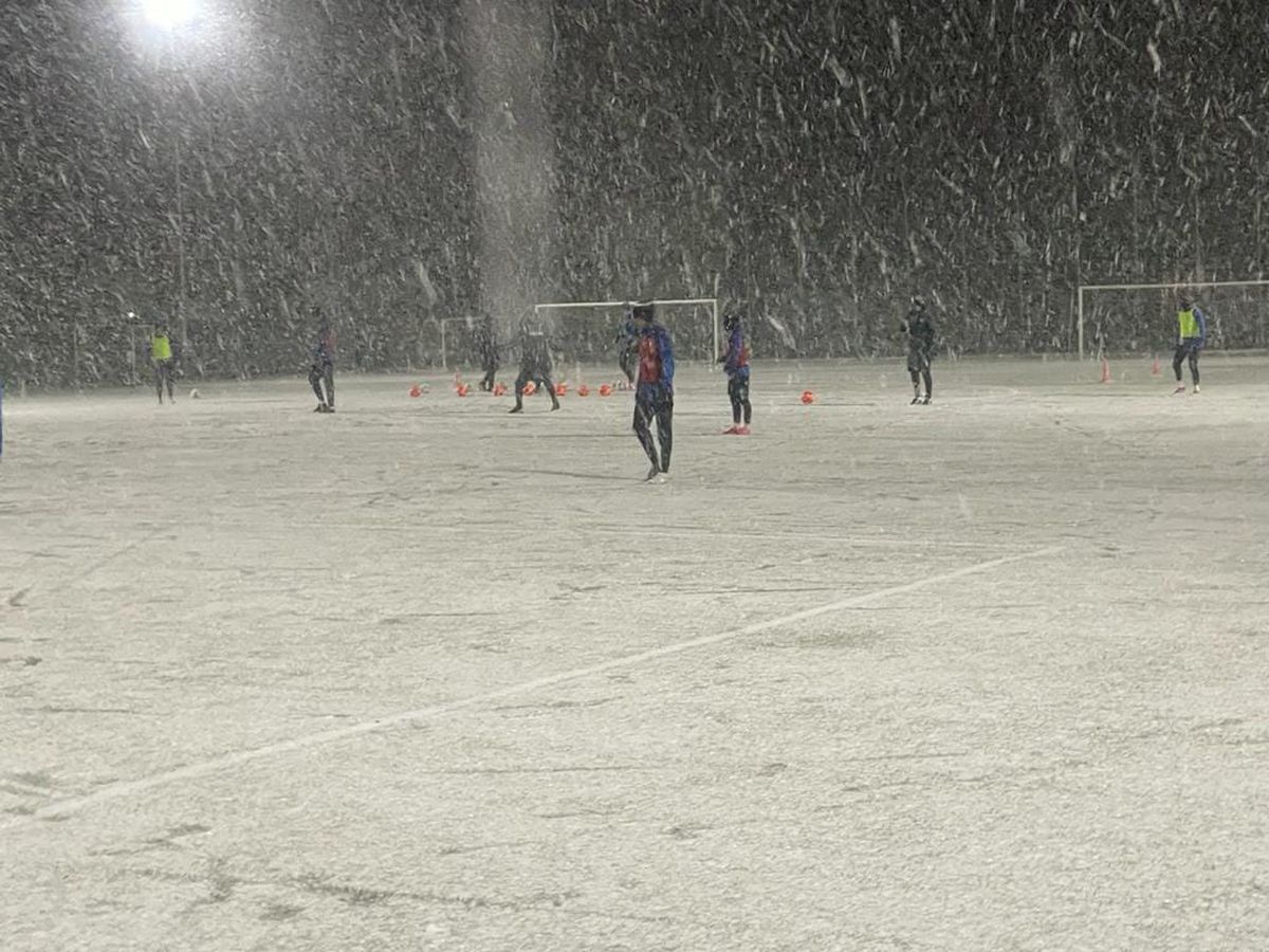 Cantonament Poli Iași