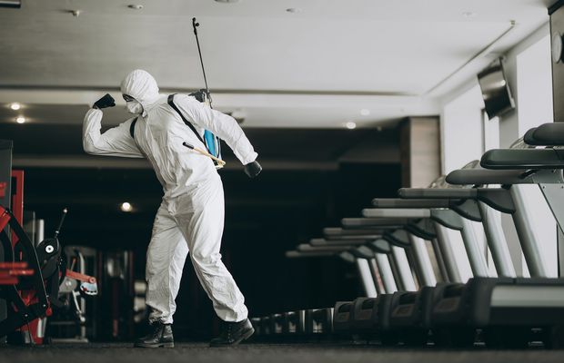 Ploșnițele de pat, pericolul invizibil pentru sportivi: Cum să le eviți în hoteluri și autocar