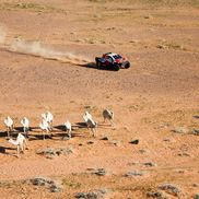 Imagini de la Raliul Dakar / Imago Images
