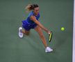 România - Italia, în barajul pentru menținerea în Grupa Mondială a Fed Cup