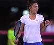 România - Italia, în barajul pentru menținerea în Grupa Mondială a Fed Cup