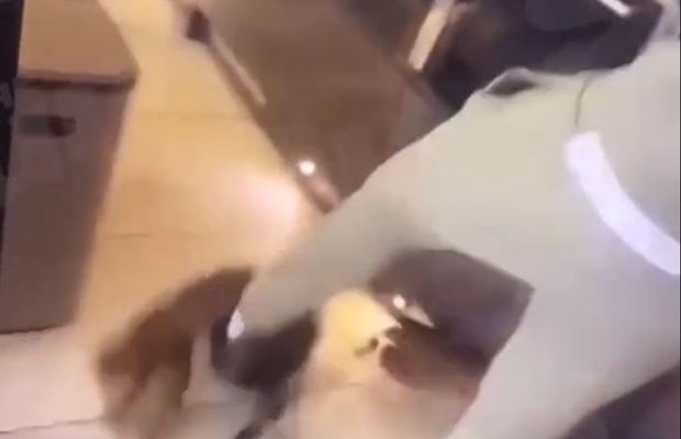 Atenție, imagini cu impact emoțional! » Fotbalist din Premier League filmat în timp ce își lovește animalul de companie