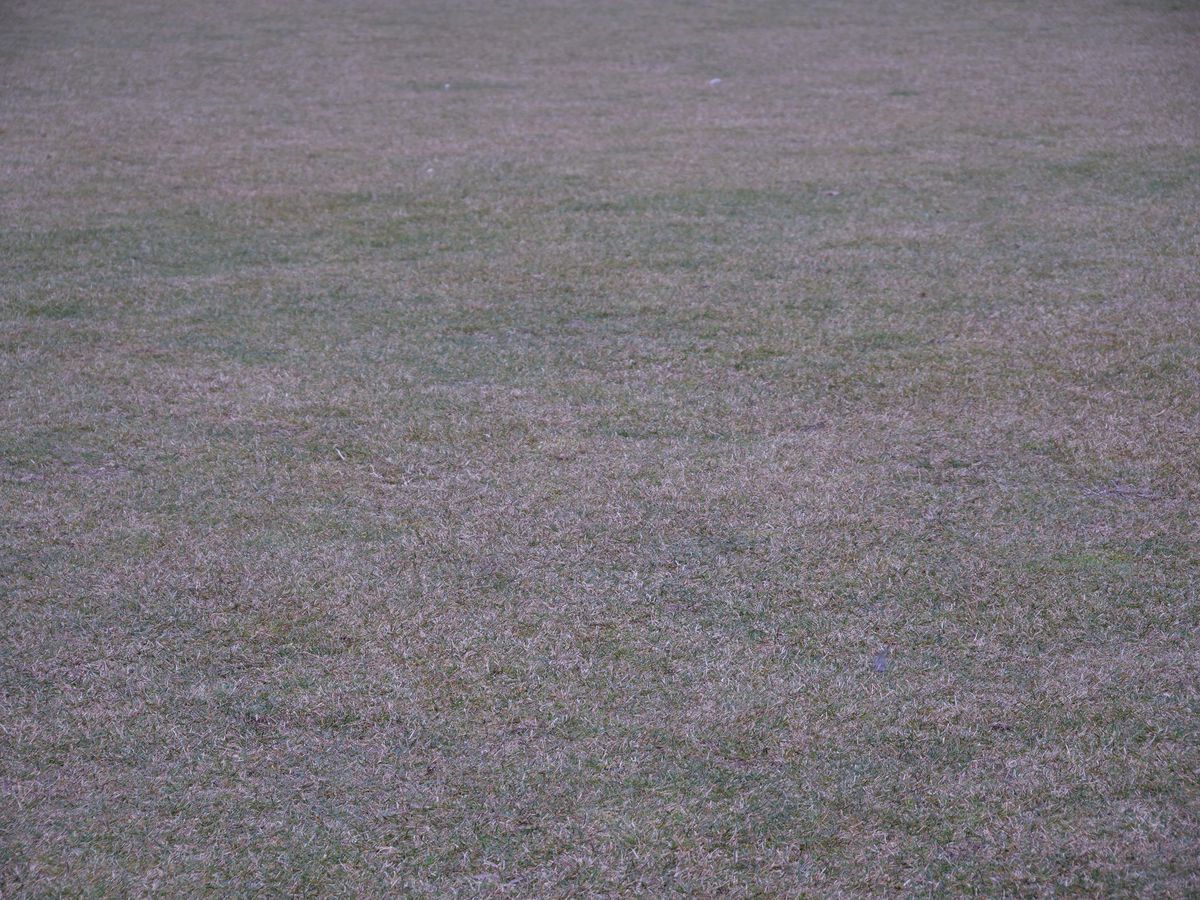 Imagini de la Clinceni, înainte de Slobozia - Craiova