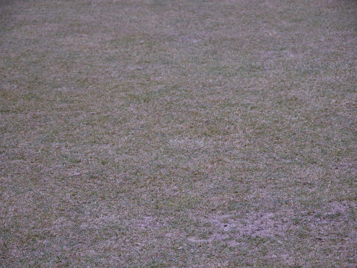 Imagini de la Clinceni, înainte de Slobozia - Craiova