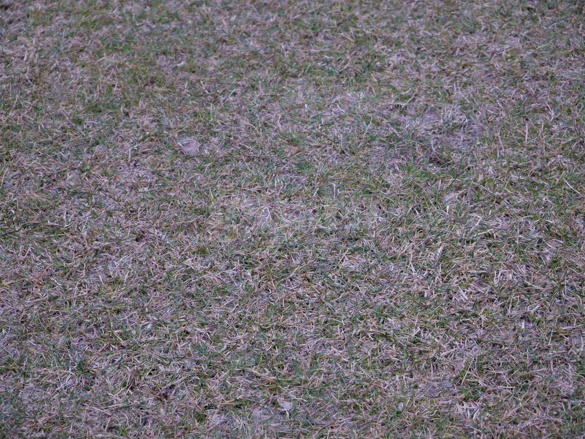 Gazonul de la Clinceni, înainte de Unirea Slobozia - Universitatea Craiova