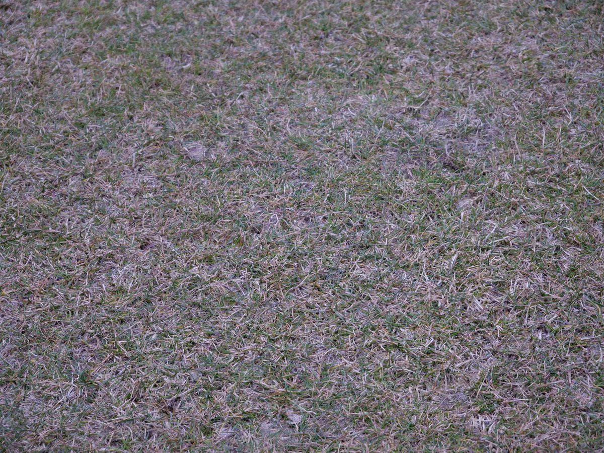 4 scene deplorabile înainte de Slobozia - Craiova » Anghel Iordănescu, băgat la „congelator”