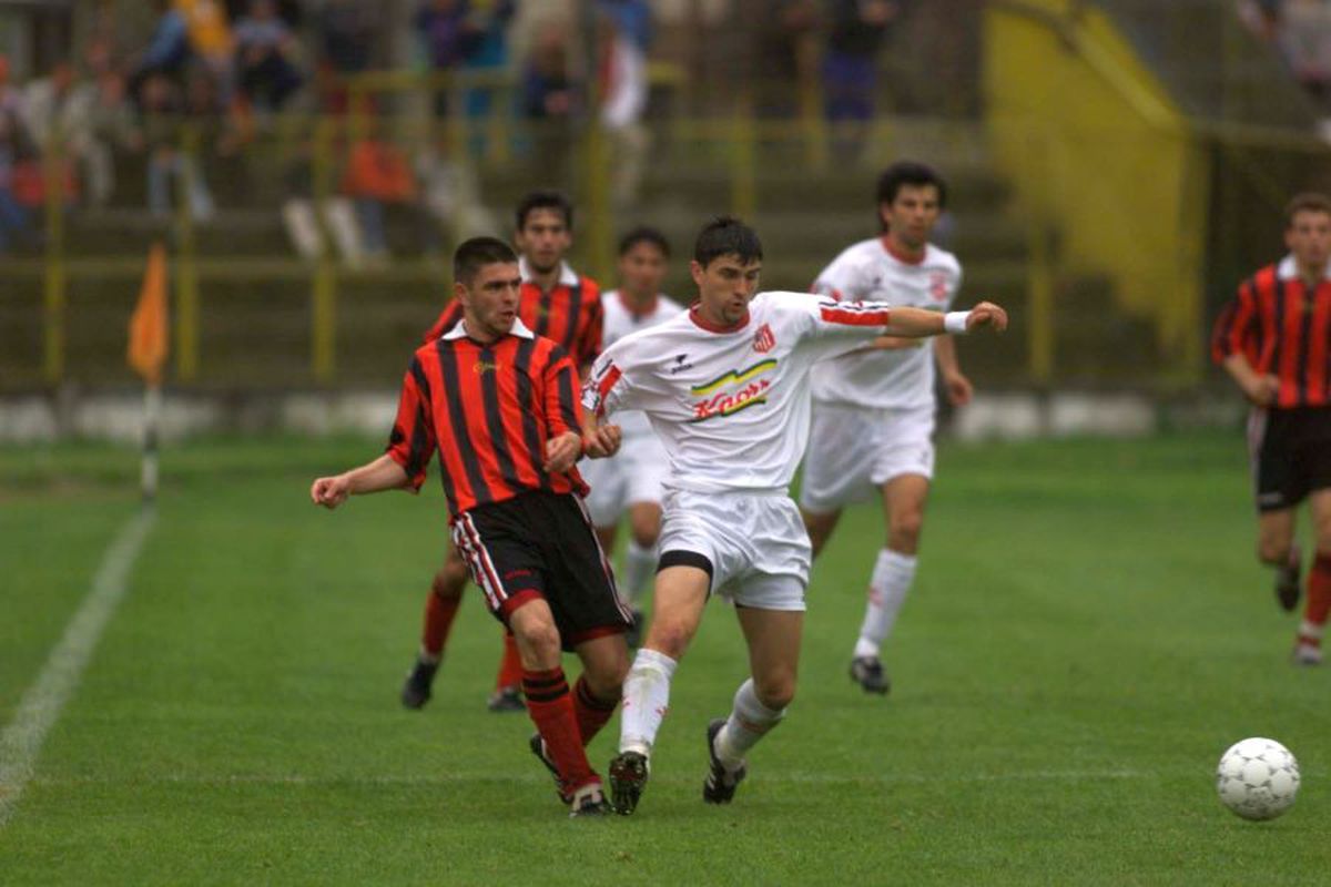 Adrian Mihalcea Dinamo