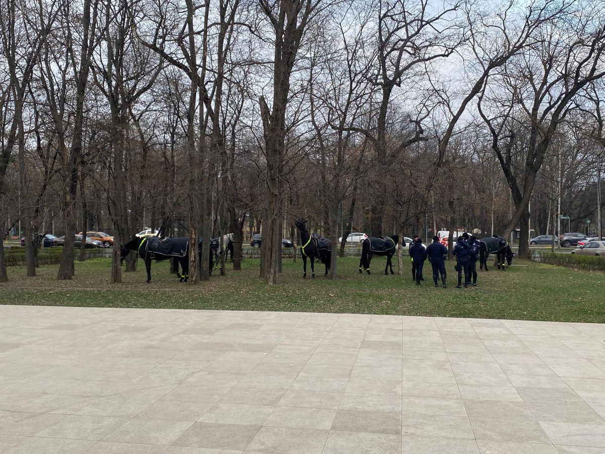 Vestea așteptată de toți fanii lui Dinamo: „Mai avem un singur litigiu”