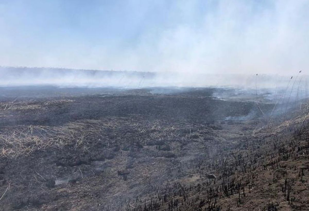 Poluare în București. Ce se întâmplă cu aerul din Capitală: „Cineva face mișto de noi” » Ministrul Mediului, primele explicații: „Miroase urât, dar nu e toxic”