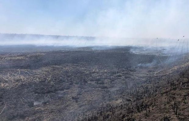 Poluare în București. Ce se întâmplă cu aerul din Capitală: „Cineva face mișto de noi” » Ministrul Mediului, primele explicații: „Miroase urât, dar nu e toxic”