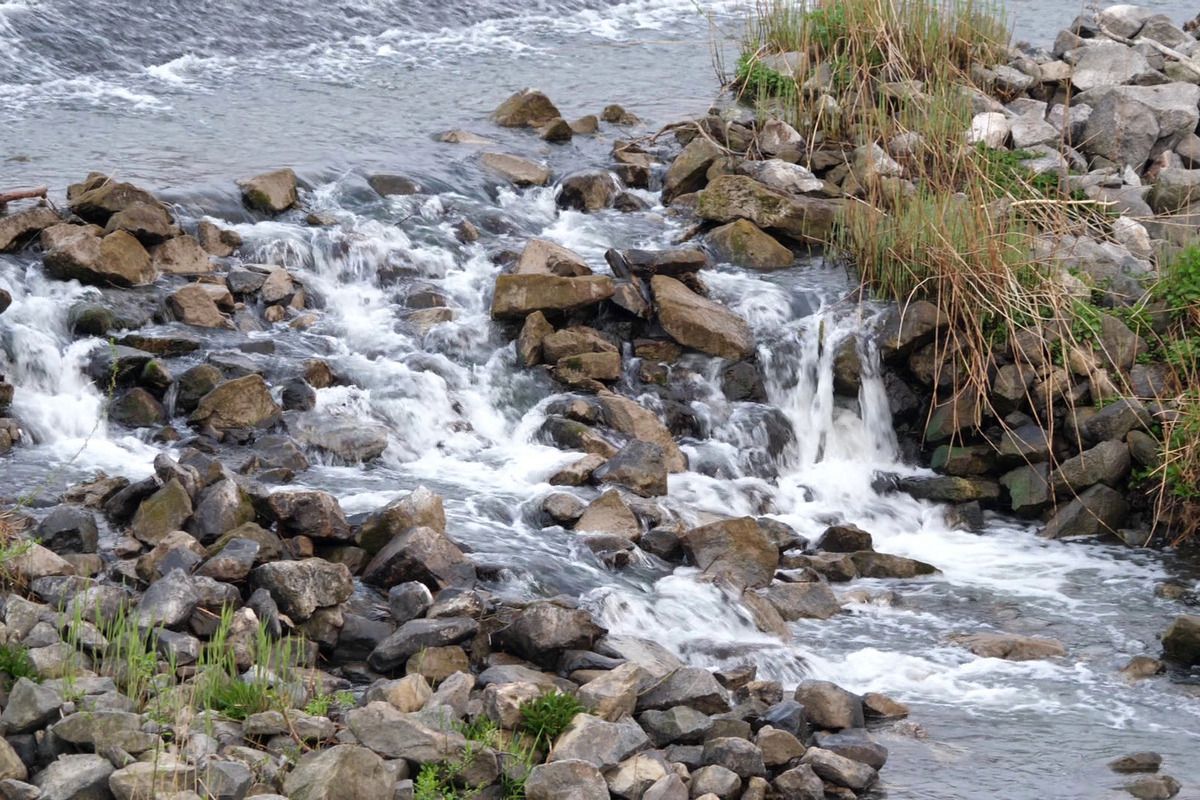 Nici covrigul nu mai e ce-a fost: un „bavarez” în Germania costă un „Grigorescu”!