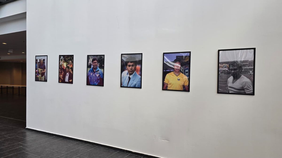 Sicriul lui Mircea Lucescu, depus la Arena Națională