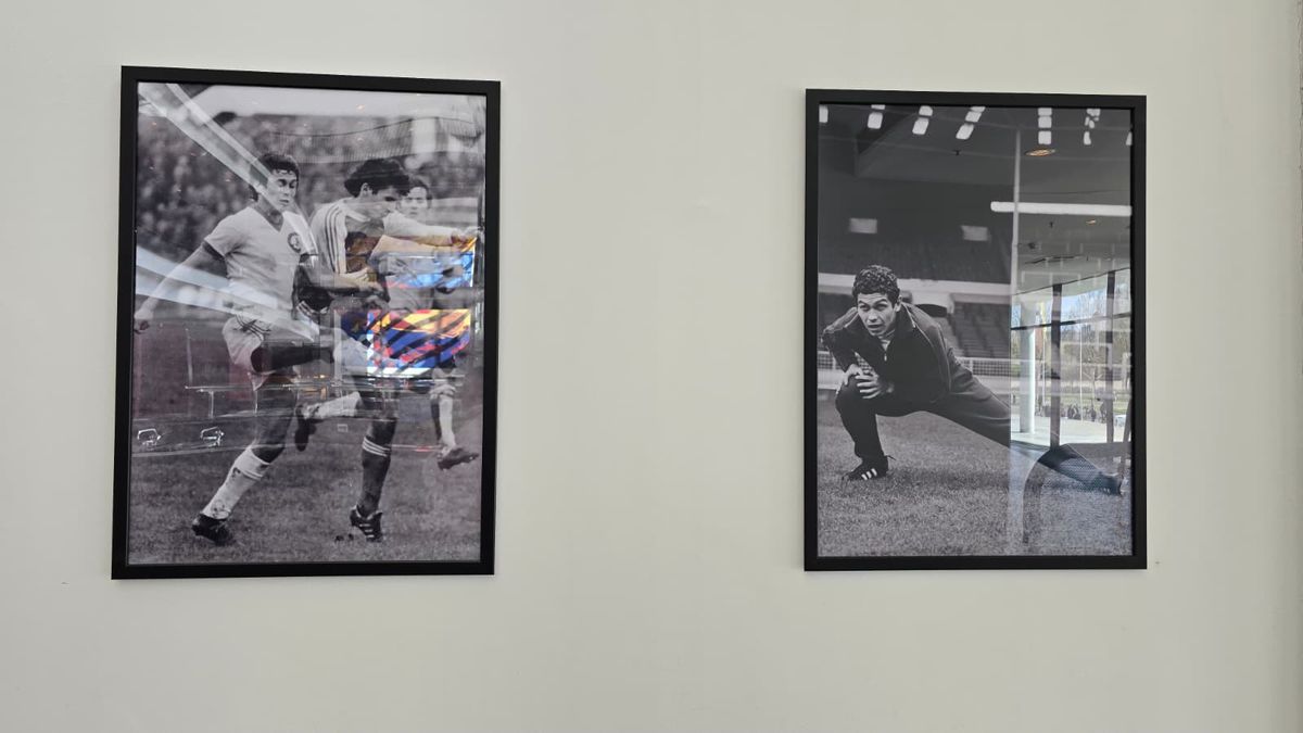 Sicriul lui Mircea Lucescu, depus la Arena Națională