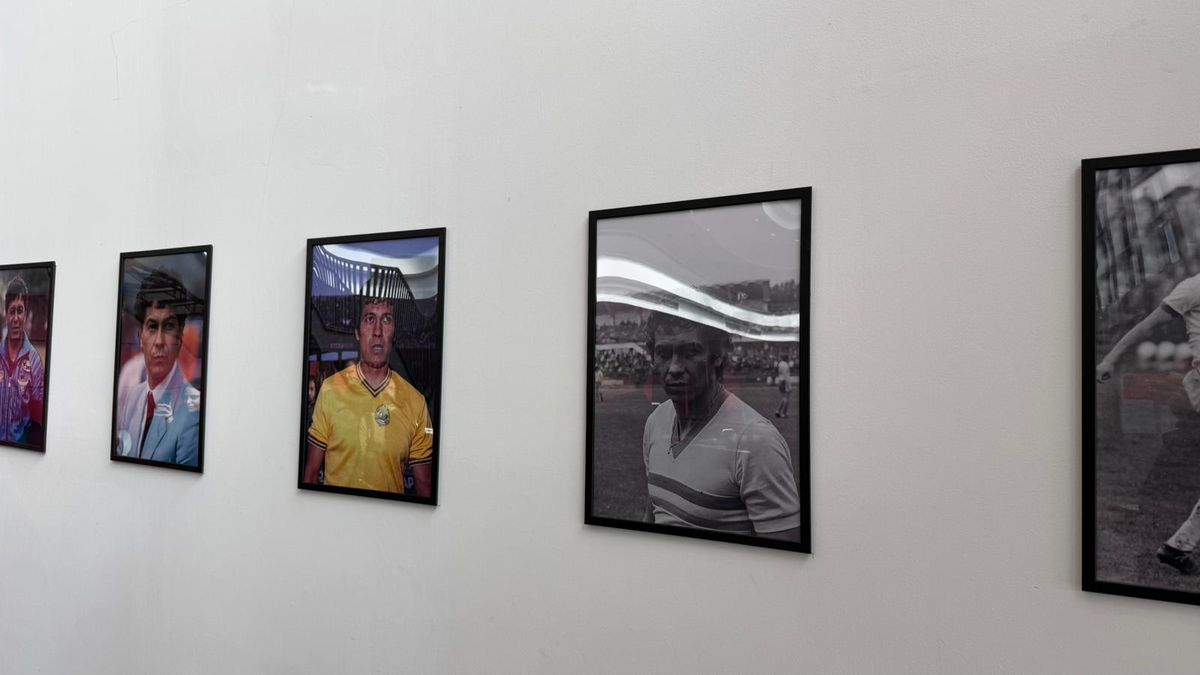 Sicriul cu trupul lui Mircea Lucescu, depus la Arena Națională