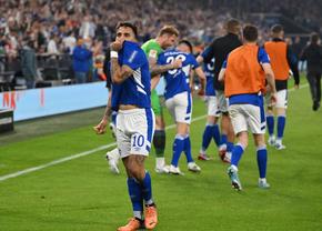 Nebunie în Germania » Schalke a câștigat dramatic și a promovat în Bundesliga + Fanii au invadat terenul