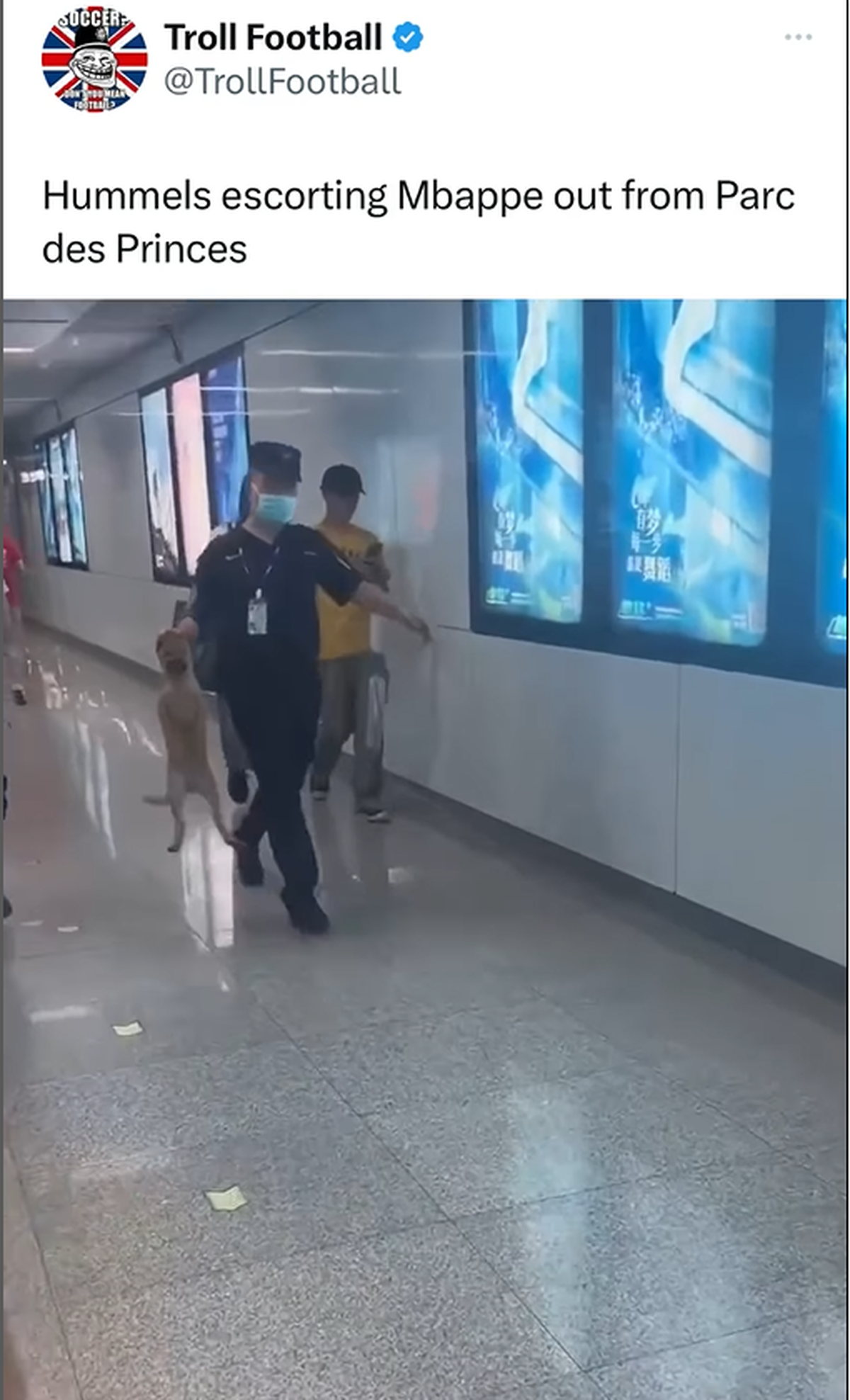 Borussia Dortmund, „aroganța” supremă la adresa lui PSG, după ce a eliminat-o din Liga Campionilor