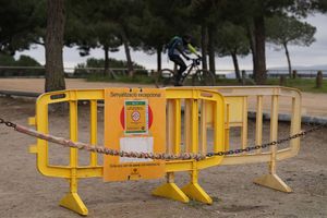 Pesta porcină africană a dus la modificarea unei rute a Turului Franței: „O boală virală serioasă”