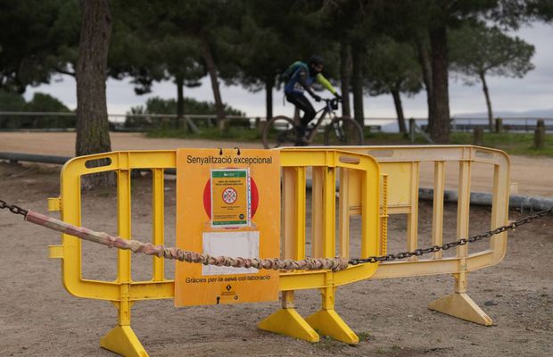 Pesta porcină africană a dus la modificarea unei rute a Turului Franței: „O boală virală serioasă”