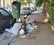 Așa întâmpinăm EURO! Coridor de gunoaie în Sectorul 1 » Imagini filmate azi în București: „Celor care vin le va fi scârbă”