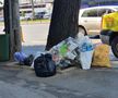 Așa întâmpinăm EURO! Coridor de gunoaie în Sectorul 1 » Imagini filmate azi în București: „Celor care vin le va fi scârbă”