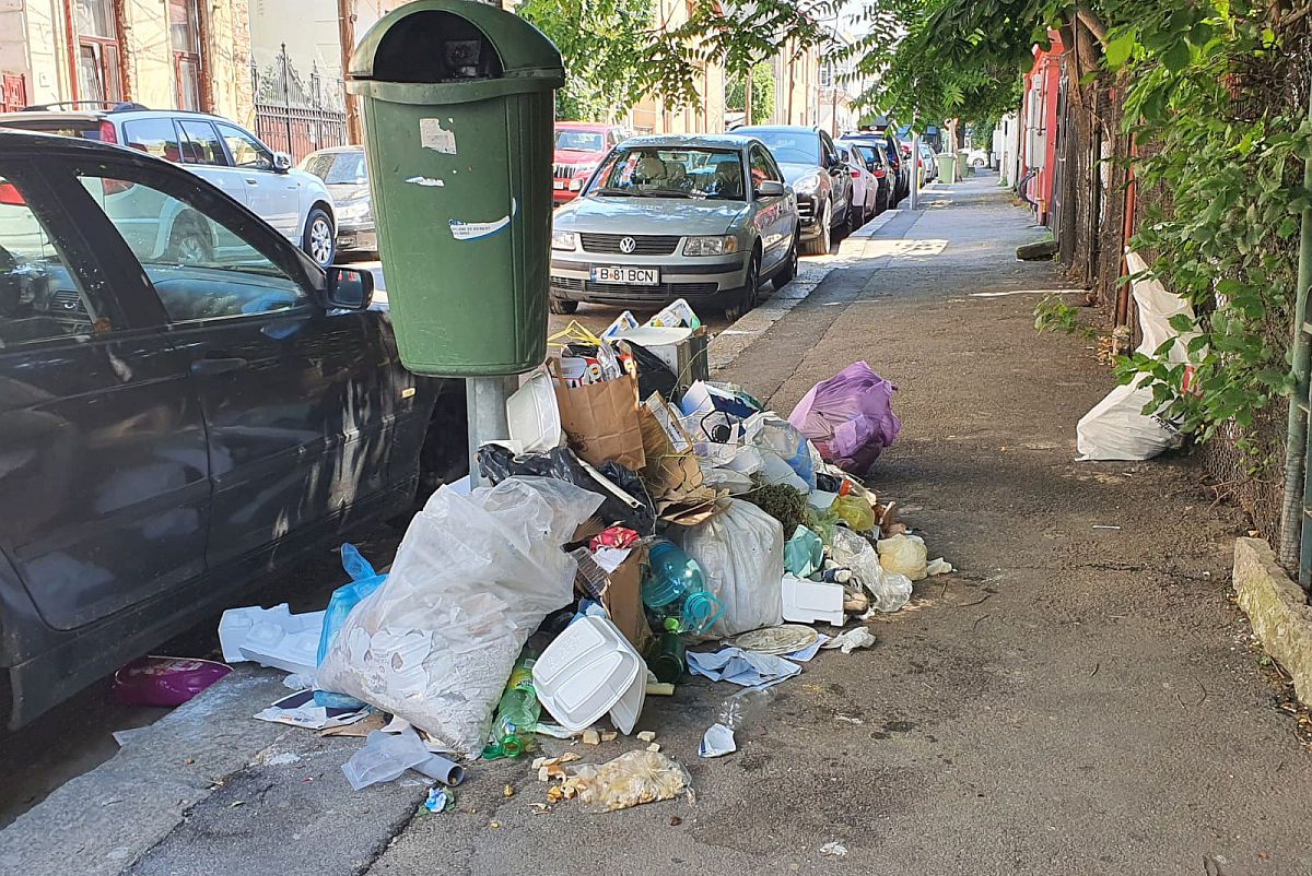 Așa întâmpinăm EURO! Coridor de gunoaie în Sectorul 1 » Imagini filmate azi în București: „Celor care vin le va fi scârbă”