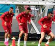 Macedonia de Nord s-a antrenat pe stadionul din Ghencea » Cum s-a prezentat gazonul