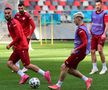 Macedonia de Nord s-a antrenat pe stadionul din Ghencea » Cum s-a prezentat gazonul