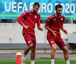 Macedonia de Nord s-a antrenat pe stadionul din Ghencea » Cum s-a prezentat gazonul