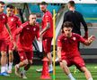 Macedonia de Nord s-a antrenat pe stadionul din Ghencea » Cum s-a prezentat gazonul