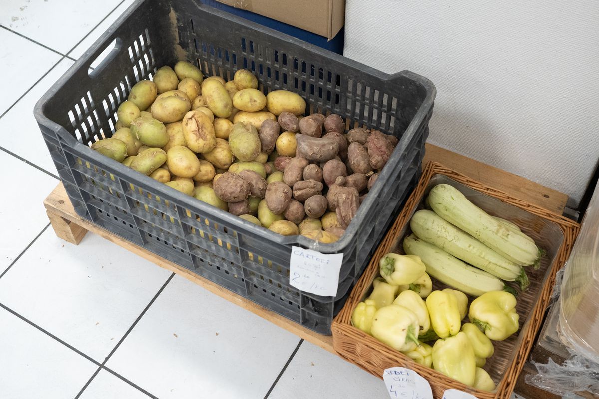 Euro 2024 // Magazin Oltenia Munchen