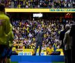 Zlatan Ibrahimovic a fost aclamat de un stadion întreg înainte de Suedia - Serbia / foto: Imago