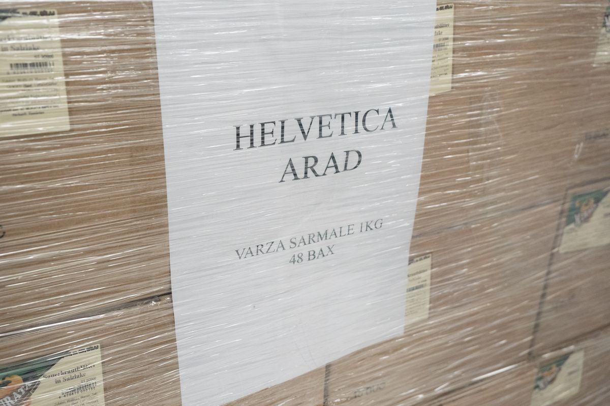 Euro 2024 // Magazin Oltenia Munchen