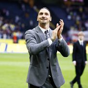Zlatan Ibrahimovic a fost aclamat de un stadion întreg înainte de Suedia - Serbia / foto: Imago