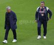 Mircea Lucescu, la meciul Austria - România 2-1 FOTO: Ionuţ Iordache (GSP)