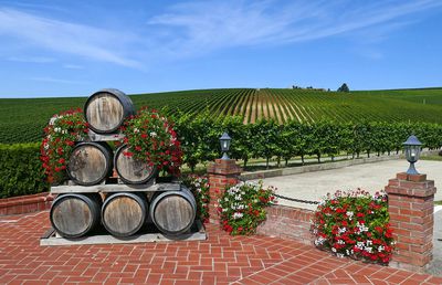 Muse - Pentru atunci când vrei să transformi chiar și cele mai neînsemnate momente din viața ta într-o ocazie specială