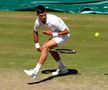 Novak Djokovic - Cameron Norrie, semifinală Wimbledon