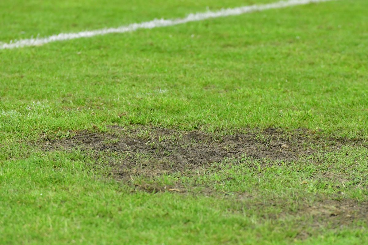 Imagini incredibile! Gazon deplorabil la Metaloglobus - Dinamo