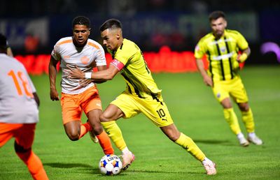 „Am o teorie” » Andrei Nicolescu a explicat care a fost problema din Metaloglobus - Dinamo