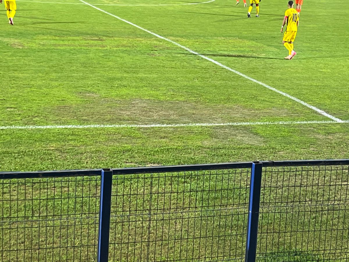 Imagini incredibile! Gazon deplorabil la Metaloglobus - Dinamo