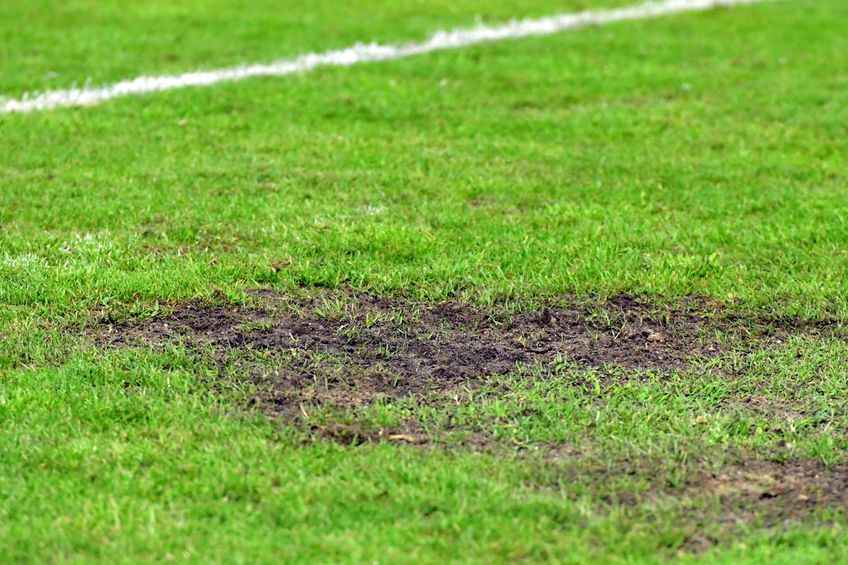 Gazon de Liga 3 la Metaloglobus - Dinamo, pe stadionul din Clinceni / FOTO: Cristi Preda (GSP)