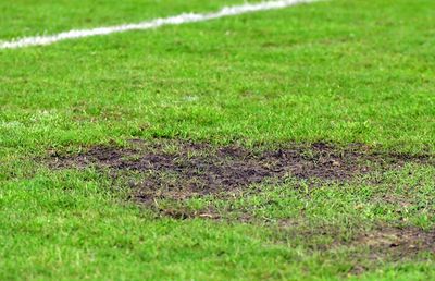 Imagini incredibile! Gazon deplorabil la Metaloglobus - Dinamo